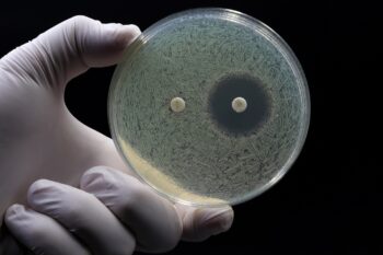 Rezistența bacteriană și opțiunile terapeutice actuale în combaterea „superbacteriilor”